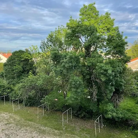 Entier Big Apartment *